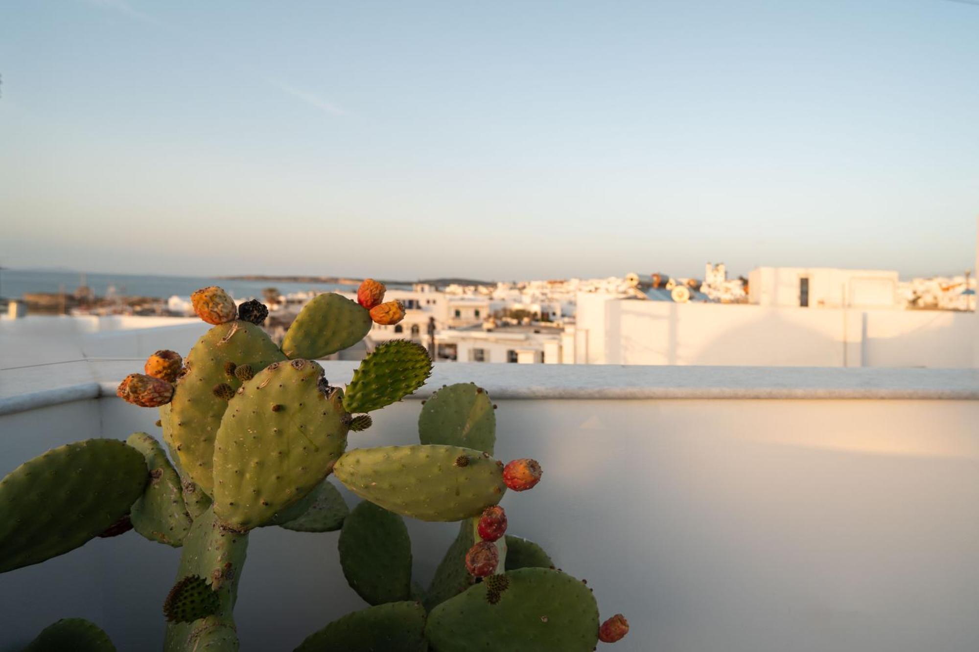 Nevma Naousa Boutique Apartment Bagian luar foto